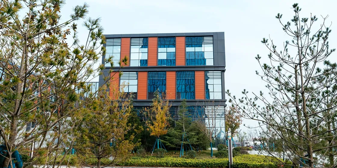 China Enzyme City (4)