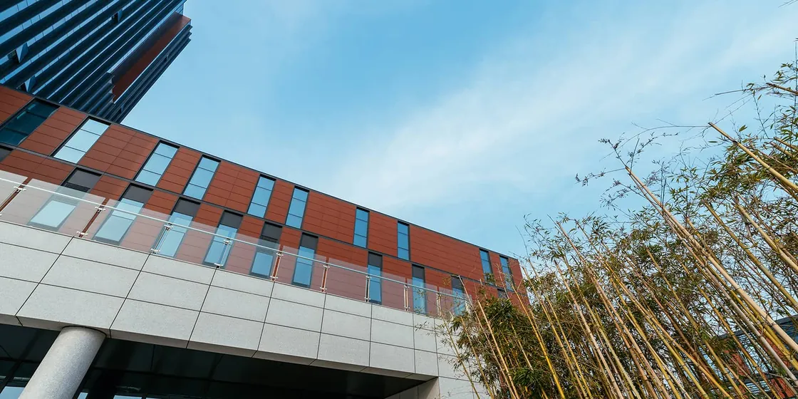 China Enzyme City (2)