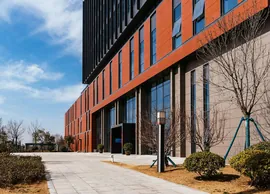 China Enzyme City (6)