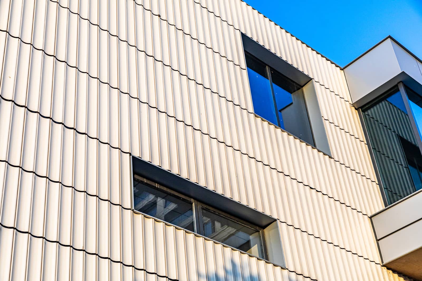 Detailed picture of windows with curved terracotta panels.jpg